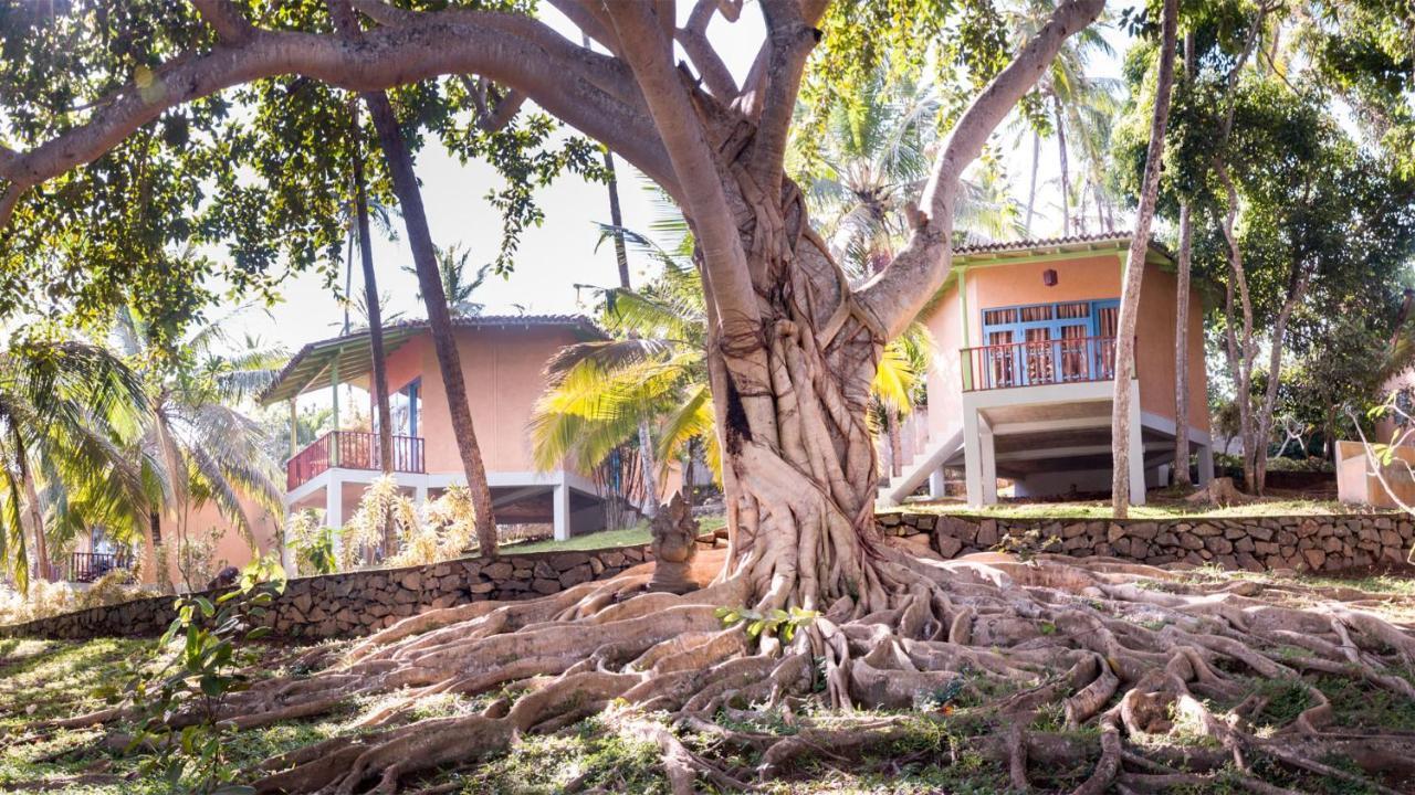 Palace Mirissa Bagian luar foto